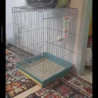 قفس کاسکو