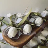 گیفت شاخه نبات گل لاله یا رز