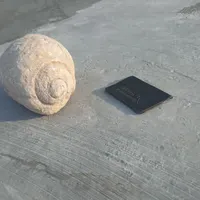 فسیل بسیار بزرگ