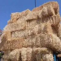 پرس گندم و جو
