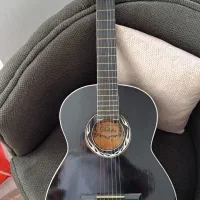 گیتار معاوضه با طوطی ملنگو