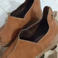 کفش سایز ۳۷|کیف، کفش، کمربند|پرند, فاز ۵|دیوار