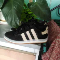 کفش اسپرت وملی