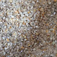 جوزرتدرجهیک|عمدهفروشی|مهران (ایلام), |دیوار