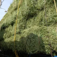 یونجه پرس وچرخی