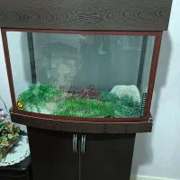 آکواریوم شیشه خم