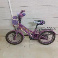 دوچرخه 16 جاینت