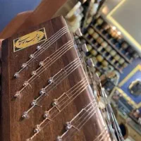 سنتور تک مهر ویژه موسوی