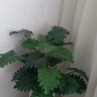 گل مصنوعی ارتفاع ۱ متر  قیمت ۴ تومن