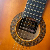 گیتار|گیتار، بیس، امپلیفایر|تهران, نازی‌آباد|دیوار