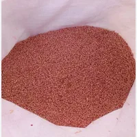 گندم پیشگام لطفاً پیام بدید.