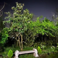 اجاره روزانه ویلا باغ دربستی و سویت|اجارهٔ کوتاه‌مدت ویلا و باغ|رشت, کوی جام جم|دیوار