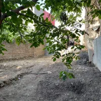 فروش زمین|فروش زمین و ملک کلنگی|لواسان, |دیوار