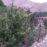 باغچه در لواسان برگجهان با ساختمان دوطبقه