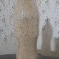 بذر گیاهی و درمانی|گل و گیاه طبیعی|ماهیدشت, |دیوار