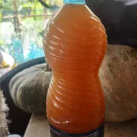 آبغوره امساله