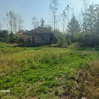 ویلا جنگلی|فروش خانه و ویلا|رشت, بازار|دیوار