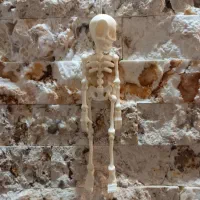 آویز ماشین ، کیف و ...