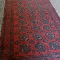 فرش قدیمی عتیقه|فرش|گنبد کاووس, |دیوار