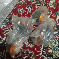 ساعت مچی|ساعت|بیرجند, |دیوار