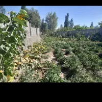 باغ حصارشده ویلایی