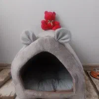 خانه ی گربه