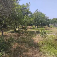 فروش-زمین-جهت-سرمایه-گذاری