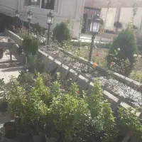 طراحی اجرا|خدمات باغبانی و درختکاری|هشتگرد, هشتگرد قدیم|دیوار