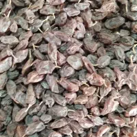 کشمش آفتابی|خوردنی و آشامیدنی|شهرکرد, |دیوار