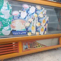 یخچال مغازه