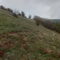 مجموعه گلستان ۳سرکا کلاردشت