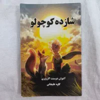 کتاب های رمان|کتاب و مجله ادبی|قم, عمار یاسر|دیوار
