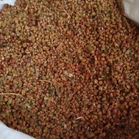 سماق|خوردنی و آشامیدنی|جوانرود, |دیوار