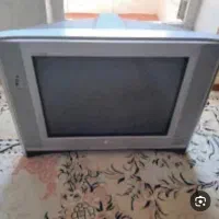تلویزیون