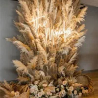 پامپاس برای دکوراسیون