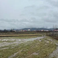 فروش4000متر-زمین-مناسب-کاشت-کیوی-لیسار