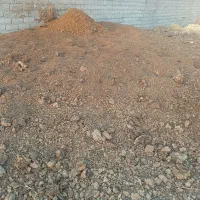 کود گاو