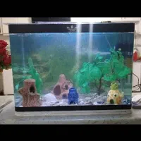 اکواریوم شیشه خم شرکتی طول ۸۰ با کلیه لوازم