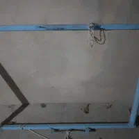 سلام دارقالی برای فروش