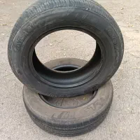 لاستیک پرشیا ۱۵