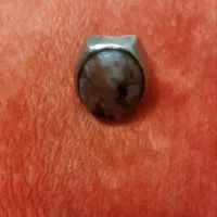 پوست ماری کهنه قدمت دار