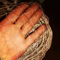 تور ماهیگیری|ماهیگیری|بروجرد, |دیوار