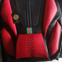 نیازمند نصاب سیستم و دودی خودرو