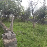 399-هچیرود-بهرام