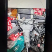 پیکور ۳۰ کیلویی کامل سالم