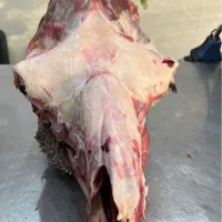 گوشت درجه یک