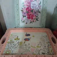 سینی  پلاستیکی|ظروف نگهدارنده، پلاستیکی، یک‌بارمصرف|تهران, شیوا|دیوار