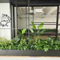 کاج مطبق*ایده برتر گل آرایی*برگ انجیری ابلق|گل مصنوعی|تهران, بازار|دیوار