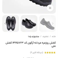 کفش آرگون|کیف، کفش، کمربند|رشت, استقامت ۲|دیوار