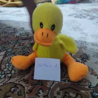 عروسک|اسباببازی|اصفهان, ستار|دیوار